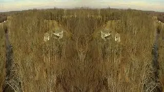 Shotcut Mirror filter and Size and Position filter