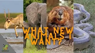 The Hunter COTW  What Animals I want to see in The Hunter COTW?