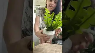 Первая покупка почтой в этом году! #распаковка