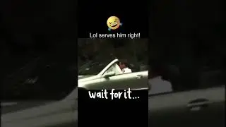 Impatient Driver Gets Instant Karma from an Old Lady’s Shopping Bag