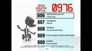 Реклама на BRIDGE TV 2013 (36/40)