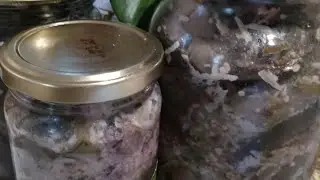Баклажаны 🍆 пальчики,🍆, пальчики оближешь 🤤👍🏻