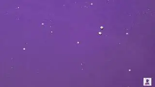 The Great Conjunction 2020 | STOP MOTION ANIMATION