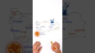 Kaynaklarımızı Doğru Kullanıyorum Konusunu 1 Dakikada Öğren!