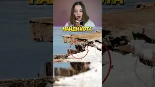 Найди Кота! Сложный Уровень 4😼
