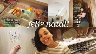 VLOG | Organização pos natal, Camicado sem promoção, pintando taças de vidro #diy