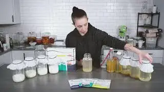 How To Maintain Your Water Kefir Starter Grains