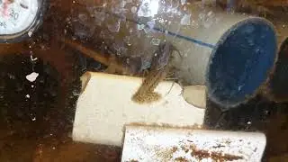 Розводня.Огляд.