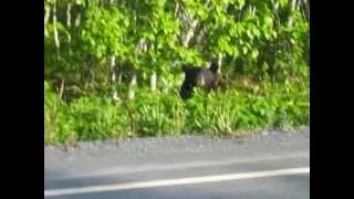 Отец Фёдор - Аляска - Alaska 013