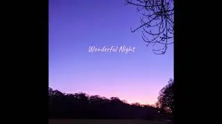 Wonderful Night - CS Trash Collection