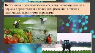 «здоровое питание» или скрытая угроза здоровью? Пестициды. Как обезопасить семью?