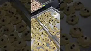 Glutenfreie Weihnachtsbäckerei