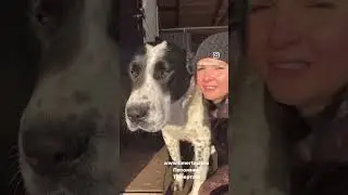 Любимка моя крапушка 🥰ТИМЕРТАШ ЛАНГОРИЯ (Лори) 1 год Молодое поколение рожденное в питомнике