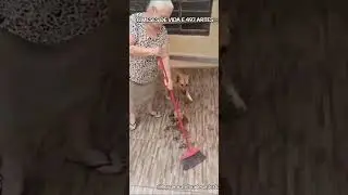 CACHORRA FDP