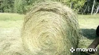 Пресподборщик ПРП 1.6 . вязальный аппарат. Регулировка.