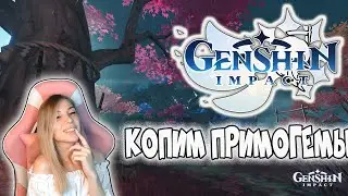 GENSHIN IMPACT: КОПИМ ПРИМОГЕМЫ НА ХУ ТАО
