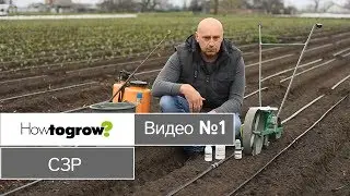 Using Herbicides for Carrot and Cabbage Planting