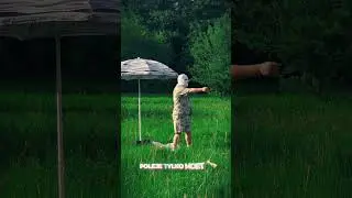 #Moet już niebawem! 🥂🍾 #majki shorts