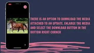 NEW! - APP USER GUIDE