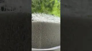 Одуванчики ручной работы.Три сотни парашютиков.