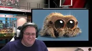 Why Is It Always BUGS? PRIME'S AFRAID OF SPIDERS?! Reaction