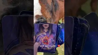 Ответ в комментариях ❤️ЗАКАЗАТЬ ОРАКУЛЫ 