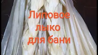 🔥🔥🔥Натуральное мочало для бани. 🍻 Как заготовить #липовое #лыко.
