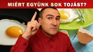 Miért együnk minden nap Tojást?