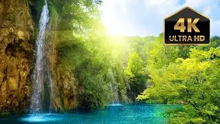 8. Relaxing Sleep Music |Meditation Music, sleep,Deep Sleeping Music, Relaxing Music, Stress Relief,