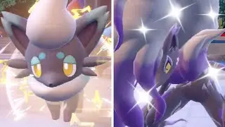 ✨ DO THIS To Get Shiny Hisuian Zorua & Zoroark EASY!