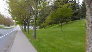 Humans vs Zombies - Travleocity 1.wmv