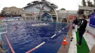 МГУПИ-БАРРАКУДА (Чемпионат России Чайка 13-14 сентября 2014 года)