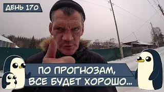 (День 170) По прогнозам, все будет хорошо...