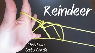 ((Hard)) Reindeer