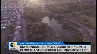 Día mundial del medio ambiente:" Con la pandemia se observan algunas mejoras".
