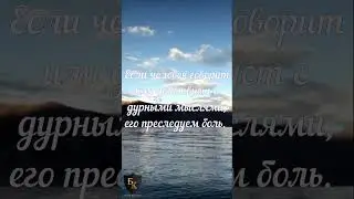 О мыслях #shorts ДОНАТ 4441 1111 5398 6348 (поддержка канала)