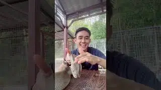 AQIL BERTIKTOK DENGAN ULAR 😬