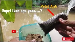 MANCING PAKE PELET INI APA DAPET ....??