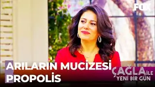 Viral Enfeksiyon ve Covid-19'a Propolis'in Etkisi! - Çağla ile Yeni Bir Gün 462. Bölüm