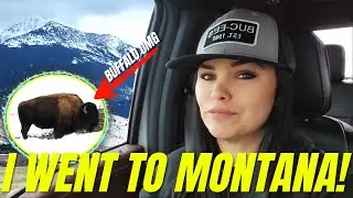 I'M BACK! And I finally went to Montana!