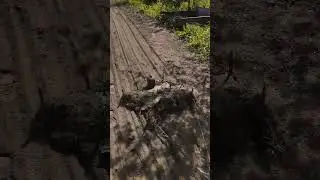 Выравнивание участка #top #дача #video #сад #shortvideo #реки #огород #деревенскийвыходной