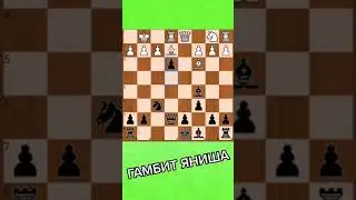Гамбит Яниша и спертый мат!