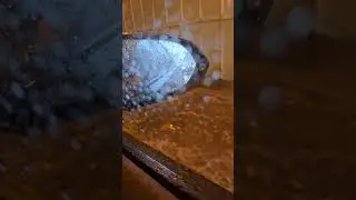 Питер.  плывём