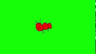 Ant ant Green Screen By Zaggazag