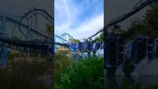 Manta at SeaWorld Orlando 