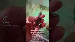 O SonicFlix - Episódio 03