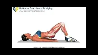 BEST Tone Buttocks exercise   Reduce buttocks   Bridging exercise