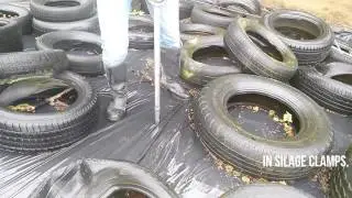 Silage Sampling