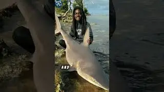 YouTuber HoodFishing Shot in Fort Myers: What Happened? 🚨"
