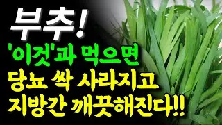 부추 제발 이렇게 드세요!  당뇨,  지방간,  뇌졸중,  골다공증에 최고인 봄 부추 꼭 드셔야 합니다!